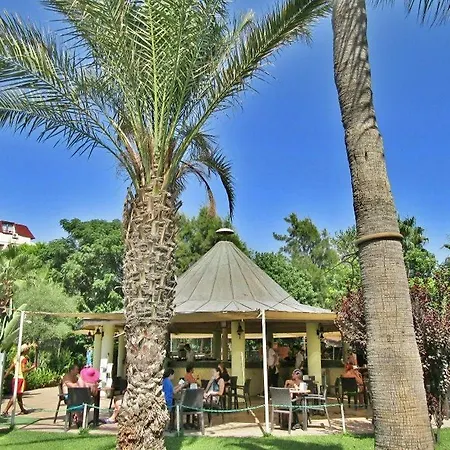 Palmeras Ultra 5*
