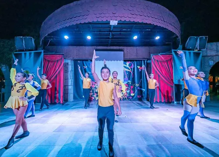 Palmeras Ultra מלון 5*