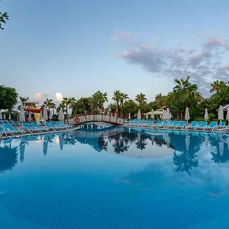Palmeras Ultra 5*