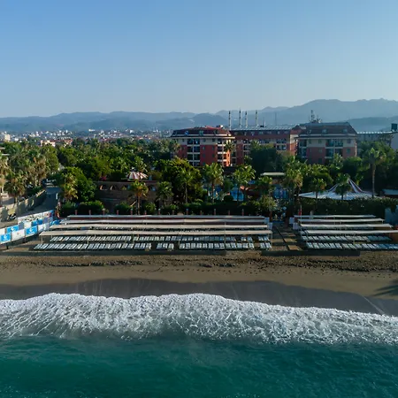 Palmeras Ultra 5*