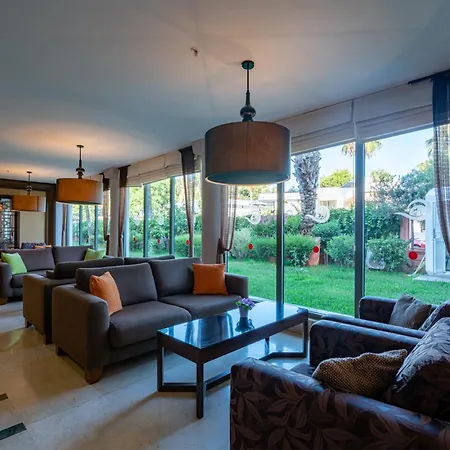 Palmeras Ultra