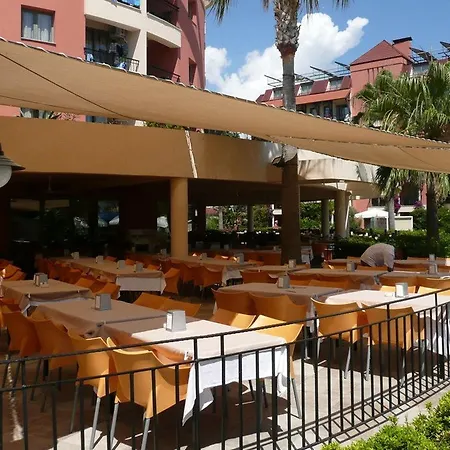 Palmeras Ultra 5*