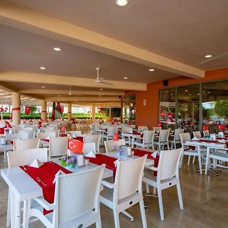 Palmeras Ultra Konaklı