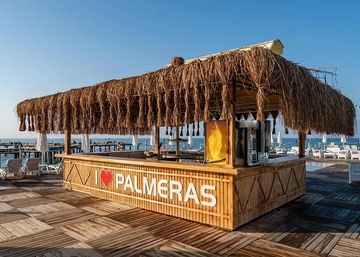 Palmeras Ultra 코나키